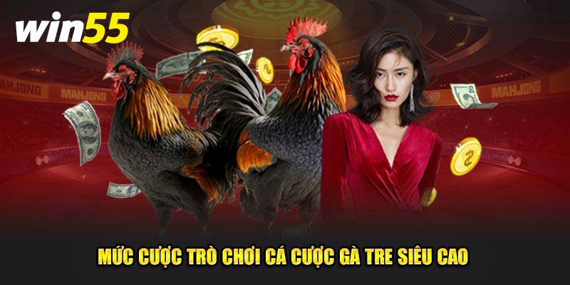 Mức cược trò chơi cá cược gà tre siêu cao 