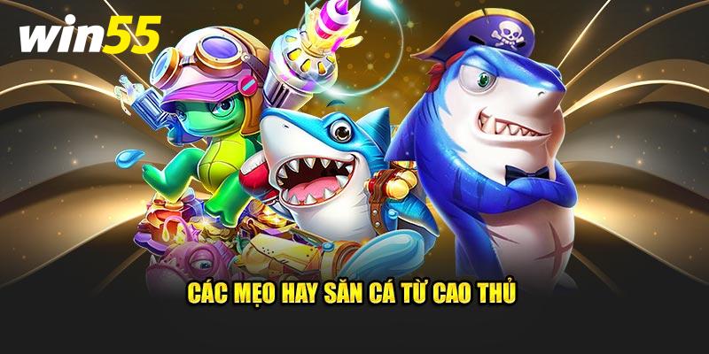 Các mẹo hay săn cá từ cao thủ