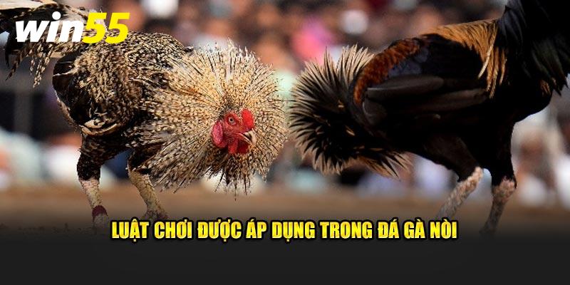 Luật chơi được áp dụng trong đá gà nòi