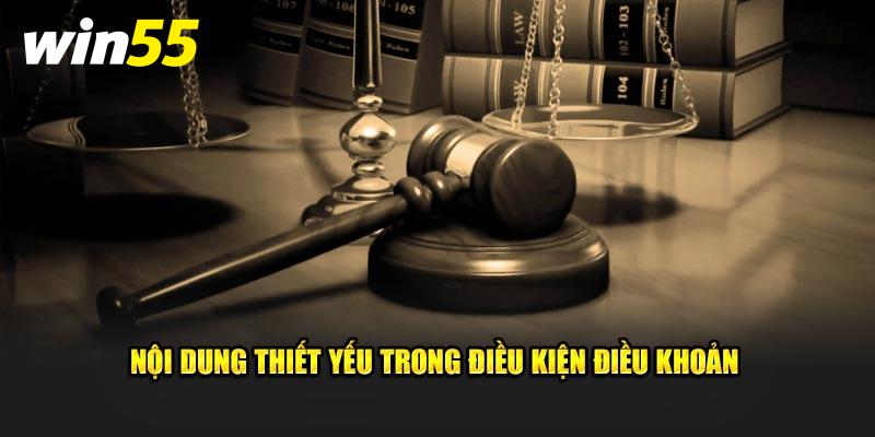 Nội dung thiết yếu trong điều kiện điều khoản 