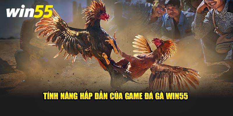 Tính năng hấp dẫn của game đá gà Win55